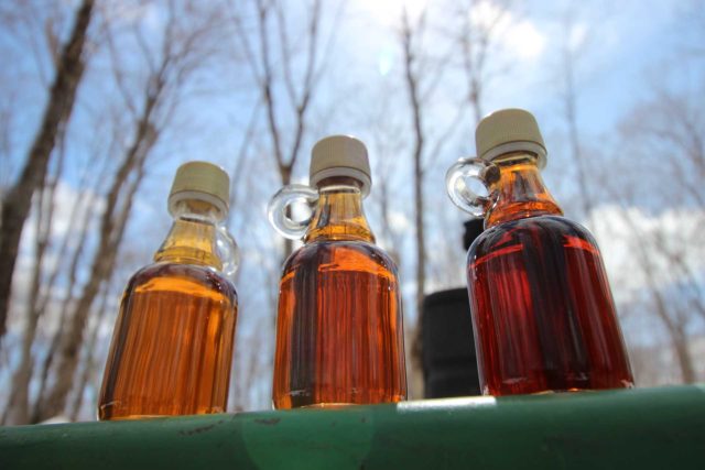 3 small jugs of fresh small batch Ontario maple syrup against a backdrop of trees and sky