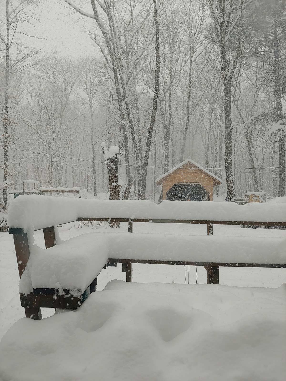 snow piled on fencing with barn in background