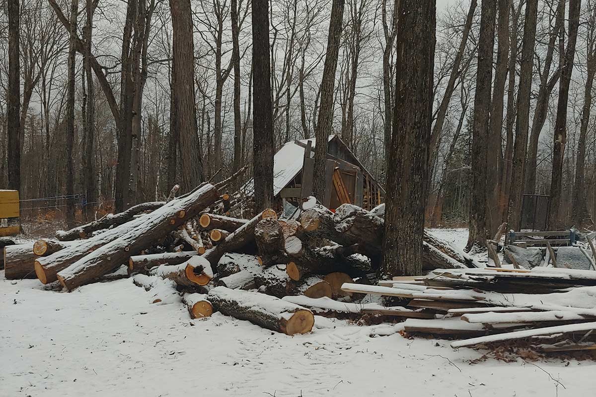 felled logs lying scattered in the snow in front of a building