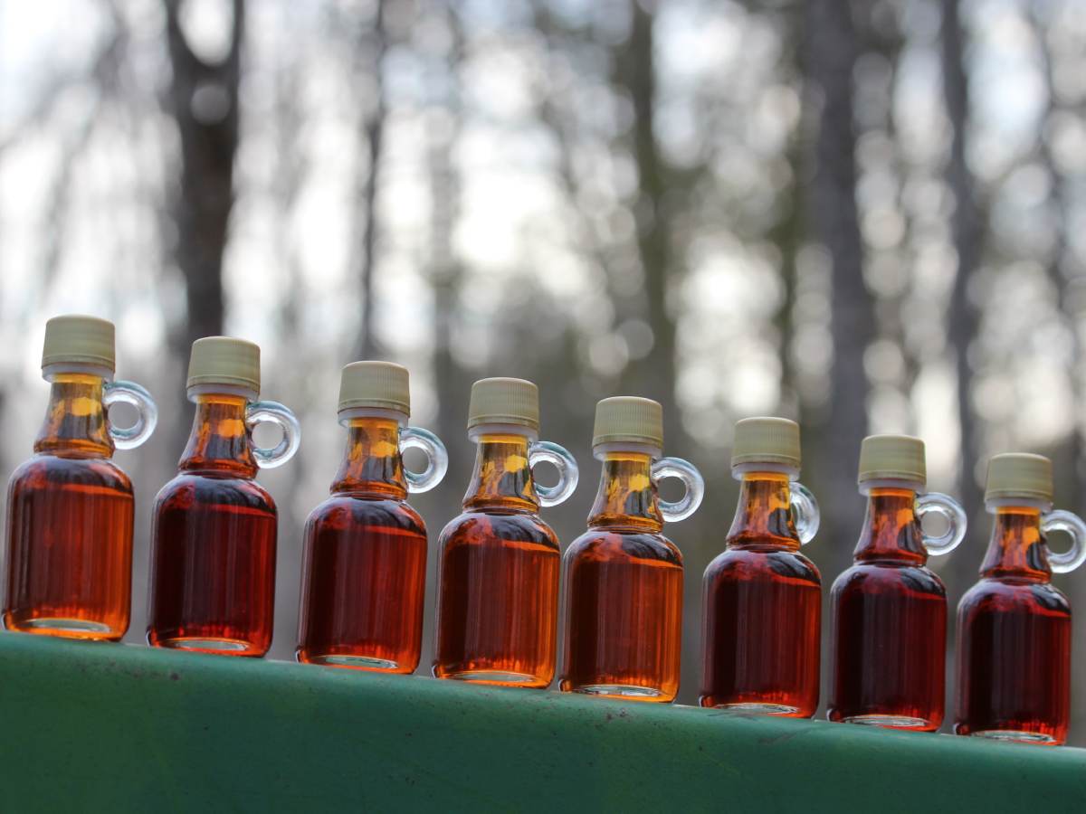 maple-syrup-bottles