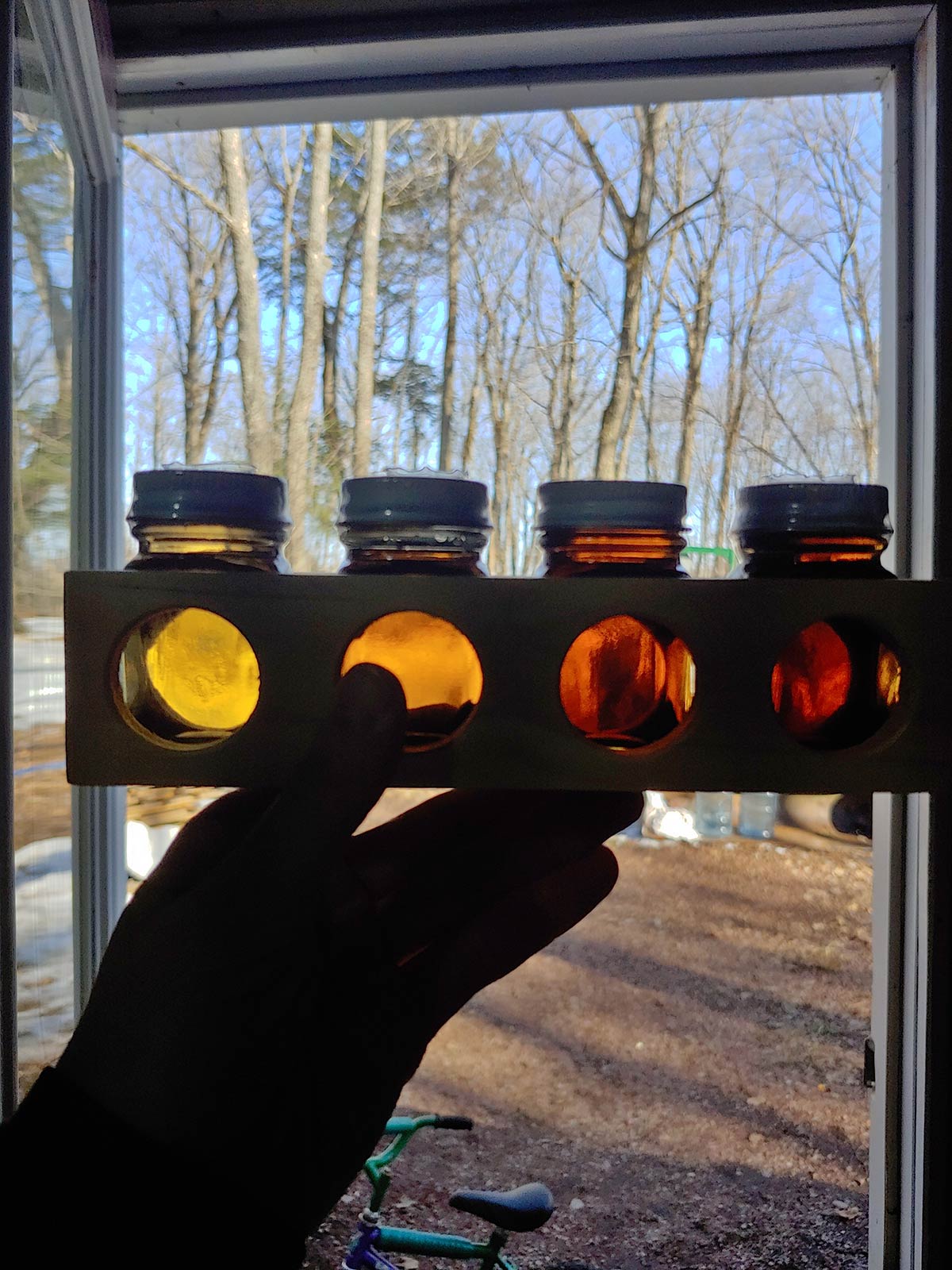 hand holding a rack of four sample jars holding various colours of maple syrup