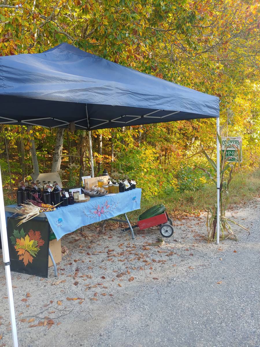 a table of maple syrup under a gazebo